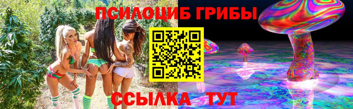 Псилоцибиновые грибы Cubensis  Долгопрудный  Галлюциногенные грибы ЛСД 