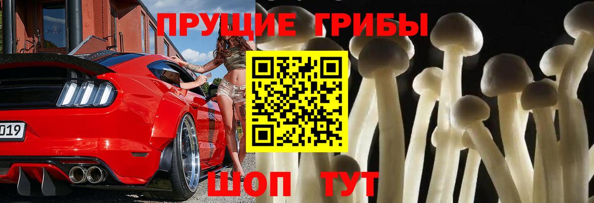 Псилоцибиновые грибы мицелий Долгопрудный