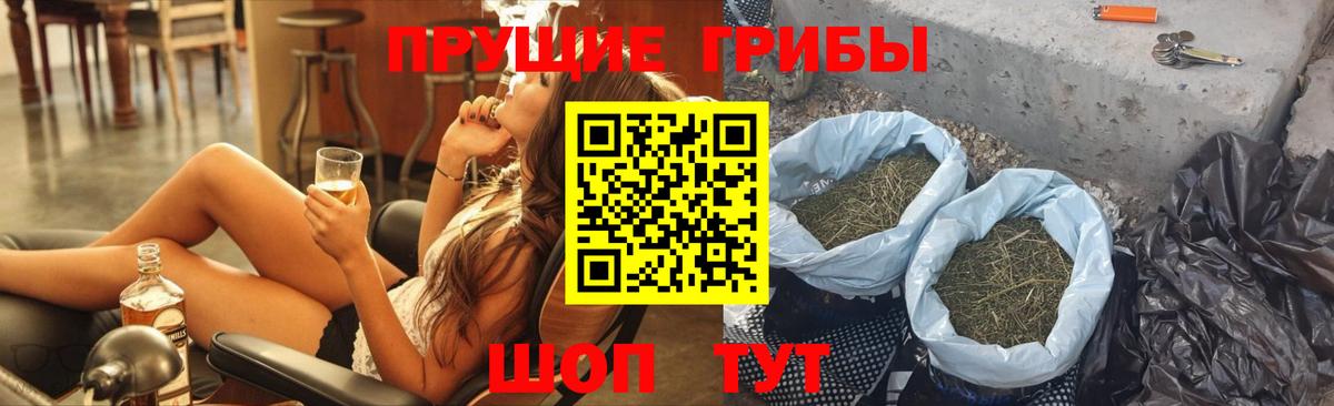 Псилоцибиновые грибы Psilocybe Долгопрудный