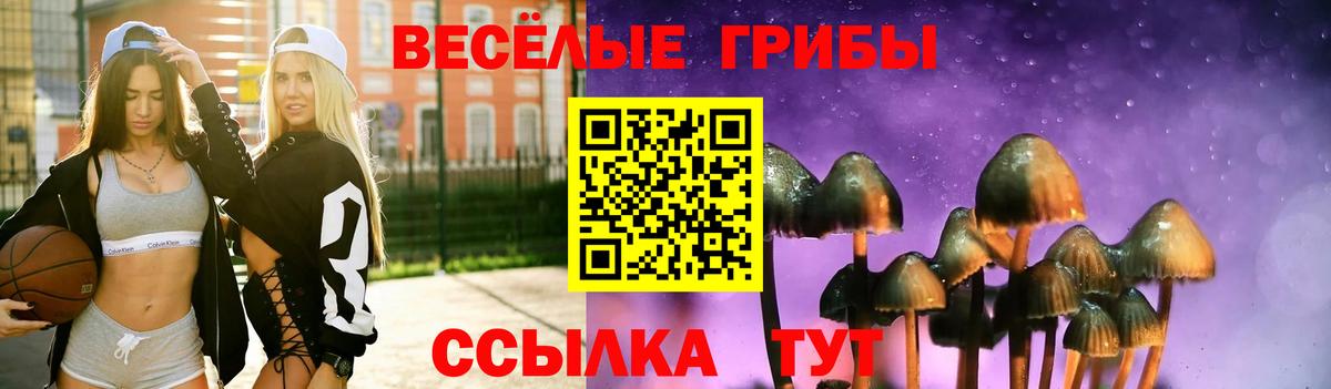 Псилоцибиновые грибы мицелий  купить наркотики сайты  Долгопрудный  Вход с VPN 